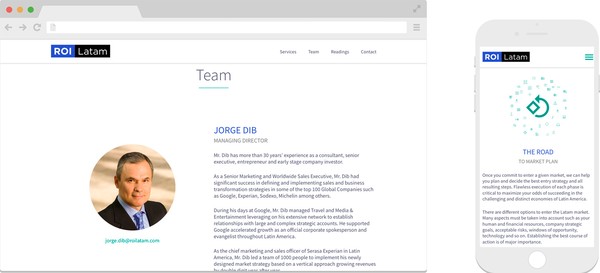project-roi-latam-Responsive.jpg